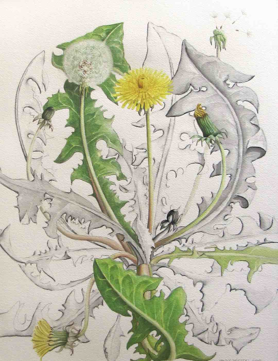 Image alt text here